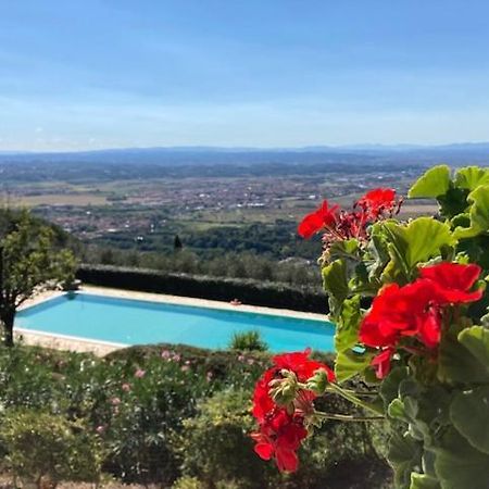 Agriturismo Cima Alla Serra Buti Extérieur photo