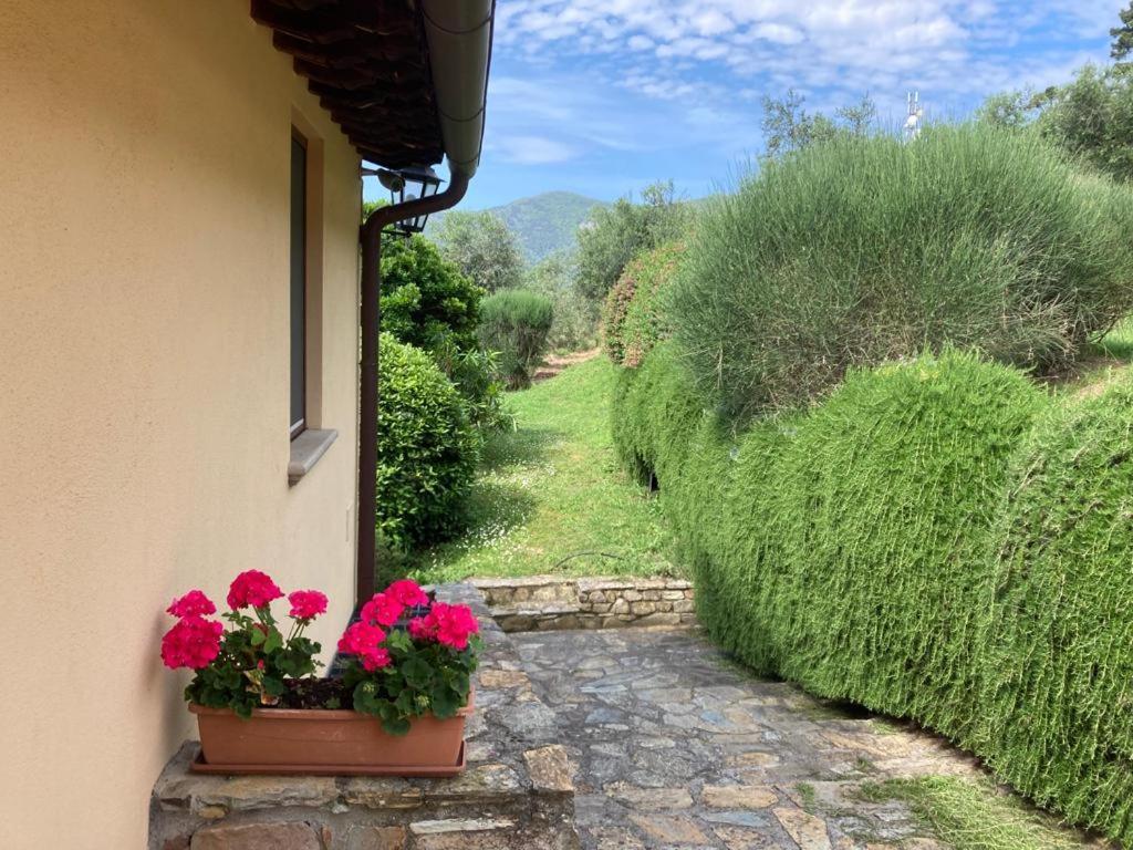 Agriturismo Cima Alla Serra Buti Extérieur photo