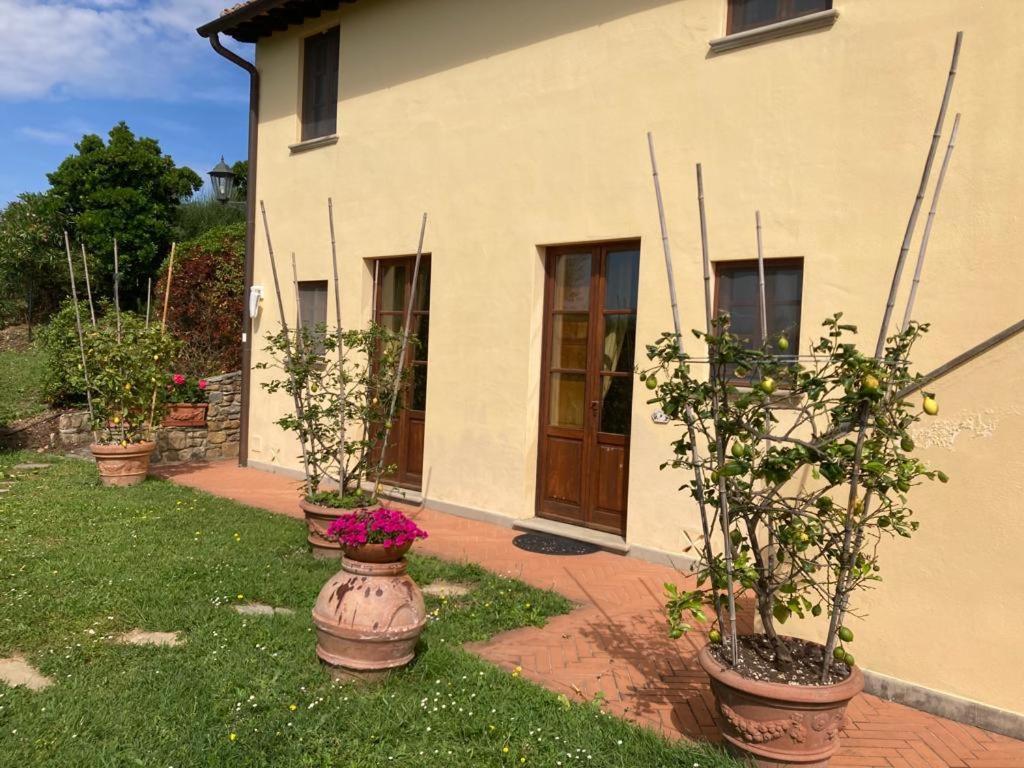 Agriturismo Cima Alla Serra Buti Extérieur photo